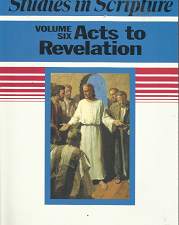 Studies in Scriptures: Volume 6, Acts to Revelation – Robert L. Millet – 1590382617