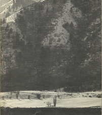 Dialogue: Volume 5, Number 2, Summer 1970 — Softcover — Single Issue