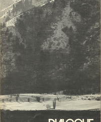 Dialogue: Volume 5, Number 2, Summer 1970 — Softcover — Single Issue