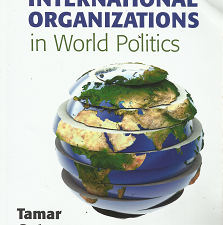 International Organizations in World Politics – Tamar Gutner – 9781568029245