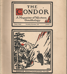 The Condor: A Magazine of Western Ornithology (5 Issues)