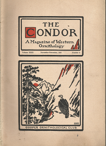 The Condor: A Magazine of Western Ornithology (5 Issues)