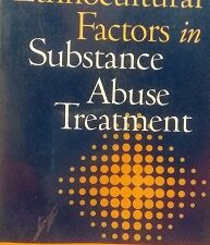 2001 – Ethnocultural Factors in Substance Abuse Treatment – Shulamith Lala Ashenberg Straussner