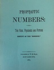 1885 - Prophetic Numbers: or The Rise, Progress and Future (REPRINT) - W.M. Egan