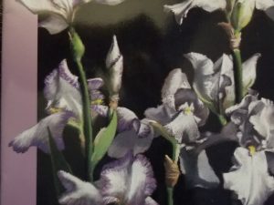 Lessons from Mother Eve ~ A Mother’s Day Message from Russell M. Nelson