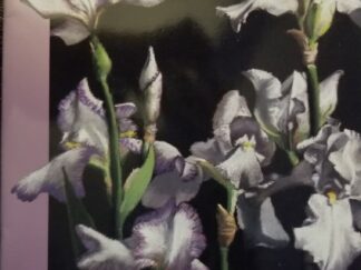 Lessons from Mother Eve ~ A Mother’s Day Message from Russell M. Nelson