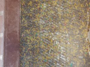 1900 – The Latter-Day Saints’ Millennial Star. (Vol LXII) – Platte D. Lyman