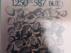 1993 – Social World of Ancient Israel 1250-587 BCE – Victor H. Matthews and Don C. Benjamin