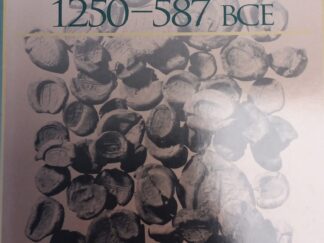 1993 – Social World of Ancient Israel 1250-587 BCE – Victor H. Matthews and Don C. Benjamin