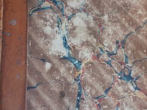 1851 – The Latter-Day Saints’ Millennial Star (Vol XIII) – Franklin D. Richards