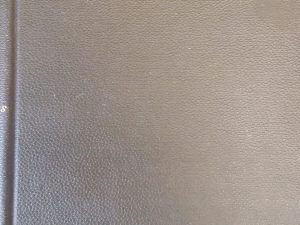 1892 – American Commonwealths – Horace E. Scudder