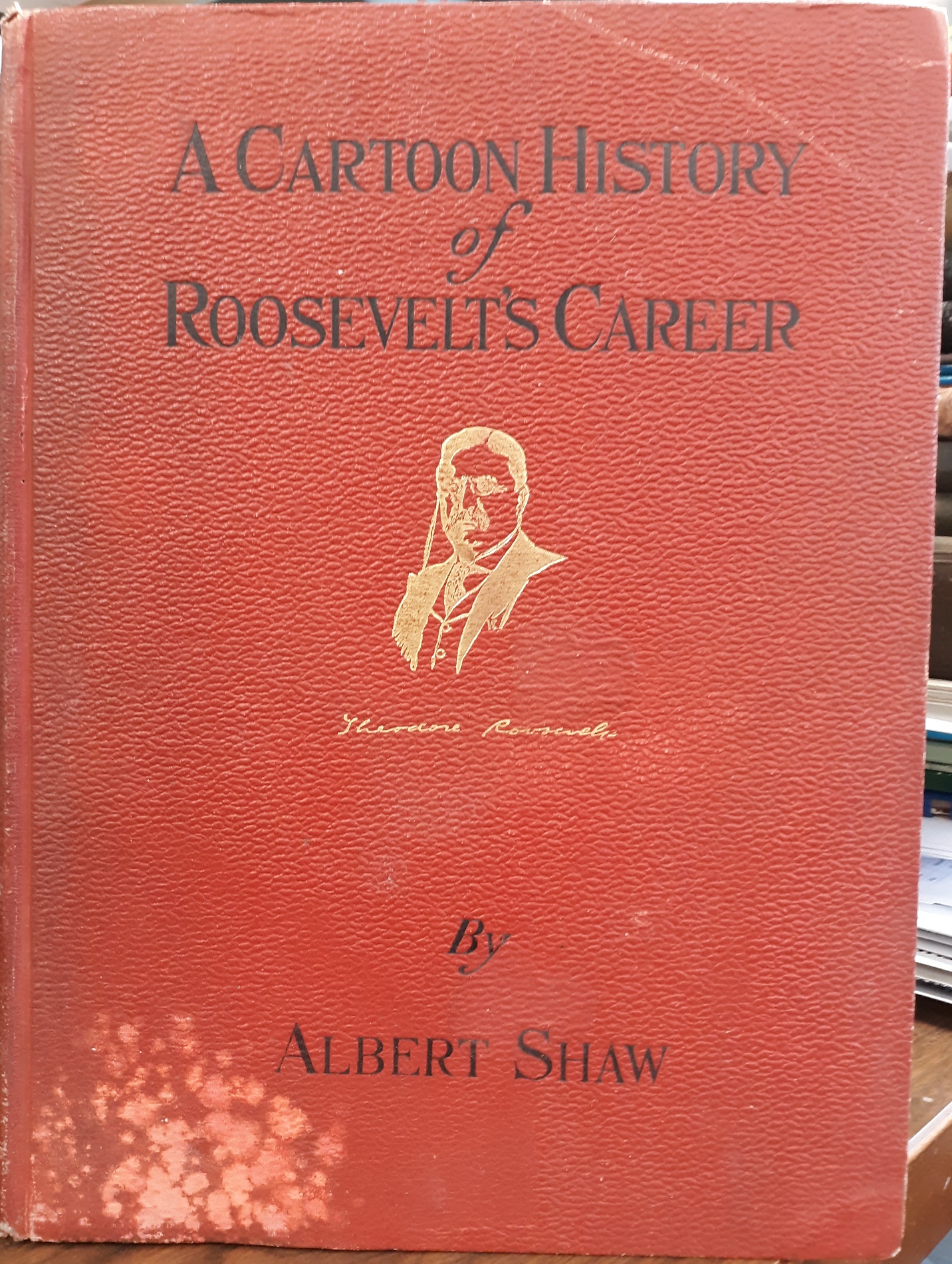A Cartoon History of Roosevelt’s Career (1910) ~ by Albert Shaw