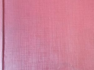 1925 – The Jesuit Martyrs of North America – John J. Wynne