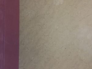 1963 – Collection of The Exponent of Montana State College Newspaper Vol. 55 (No. 1 – 26)