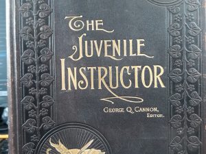 The Juvenile Instructor: Vol. 35, 1900 (Leather)
