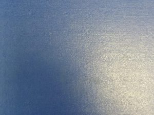 Edson and Addie: A Black Family History – Lorraine H. James