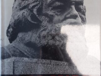 1973 - Karl Marx: His Life and Thought - David McLellan