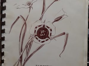 Relief Society Favorites ~ by The Jamestown Branch Relief Society of The Church of Jesus Christ of Latter-day Saints