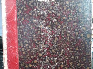 Mendicidad y Beneficencia en Barcelona (Spanish) (1903) ~ by M. González Y Sugrañes