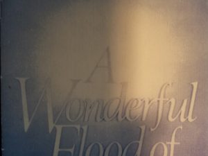 Neal A. Maxwell ~ A Wonderful Flood of Light, Sample Chapter (pamphlet)