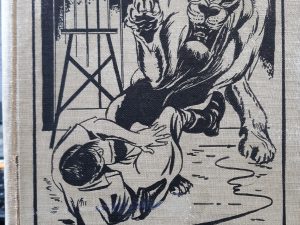 Lion and Tiger Stories (1957) ~ by Edward W. Dolch, and Marguerite P. Dolch