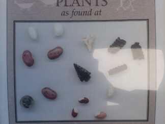 Folk Histories of Selected Desert Plants - Wes Larsen