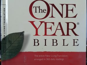 The One Year Bible: The Entire New Living Translation Arranged in 365 Daily Readings (2007)