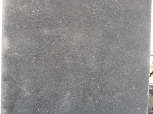 Witten Family History