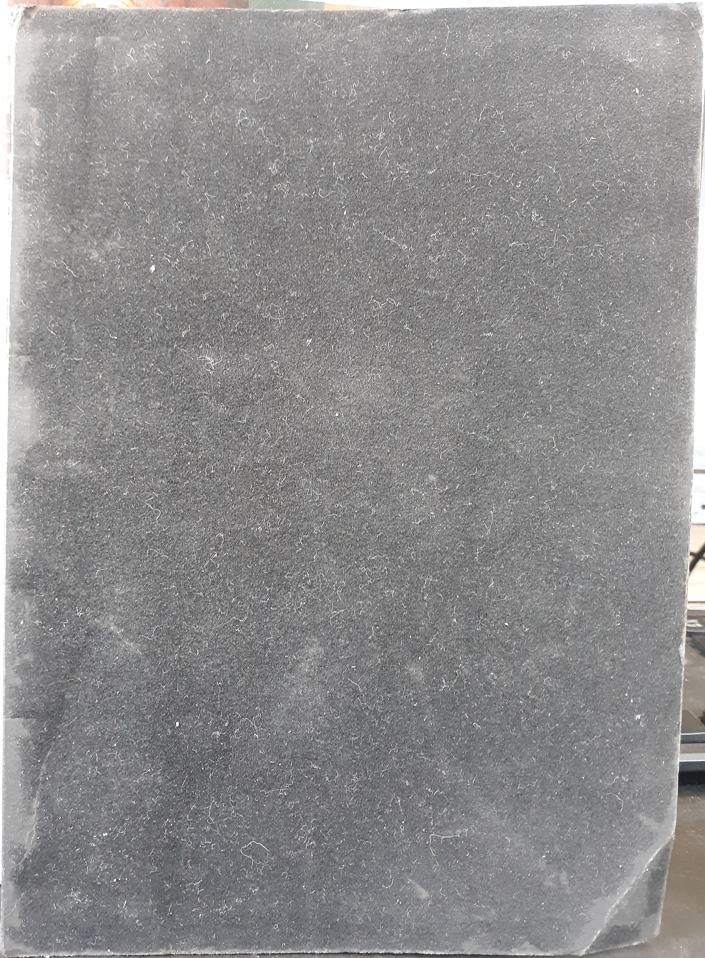 Witten Family History