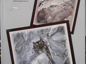 Late Quaternary Paleoecology in the Bonneville Basin (2000) ~ by David B. Madsen