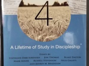 D&C 4 ~ A Lifetime of Study in Discipleship ~ Nick Galieti, Jeffrey M. Bradshaw, Russell Stevenson, others… ~ Hardbound