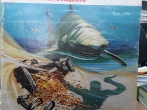 Argosy: The Complete Man’s Magazine: Nov. 1955