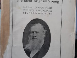 Teachings of President Brigham Young: Salvation for the Dead, The Spirit World, and Kindred Subjects (1922)
