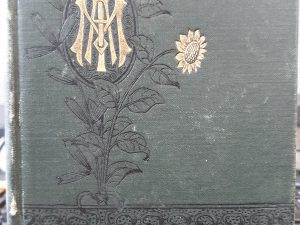 Life of Nephi: The Son of Lehi (1888) ~ by George Q. Cannon