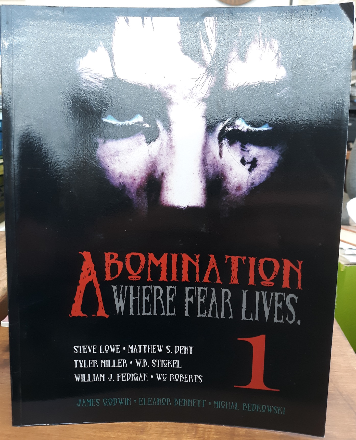 Abomination Magazine: Where Fear Lives, 1 (Signed and Numbered) (2012) ~ Edited by Corey J. Goldberg