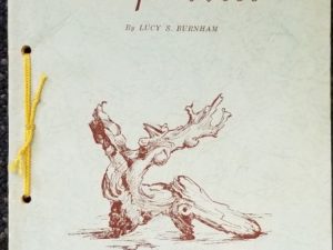 1955 ~ Drift Wood ~ By Lucy Burnham ~ Inscribed and Signed by the Author!