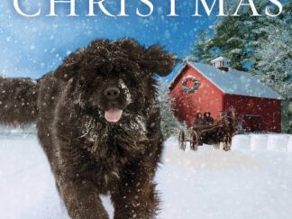 A Dog for Christmas ~ An Amish Christmas Romance ~ Linda Byler