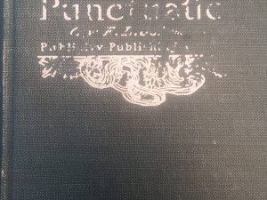 1906 – Practical Punctuation – F.L. Johnson
