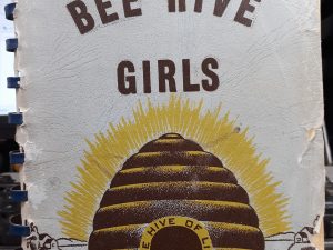 Bee Hive Girls Handbook