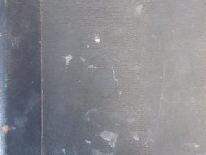 1887 – The Contributor (Vol 8) – Junius F. Wells