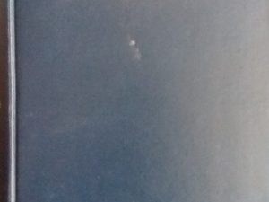 1895 – The American Church History Series (Volume IX) – Thomas O’Gorman