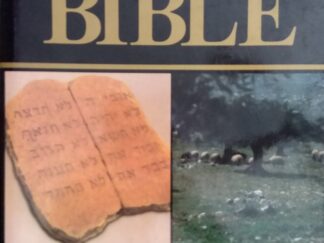 1991 - Almanac of the Bible - Geoffrey Wigoder, Shalom M. Paul, and Benedict T. Vivano