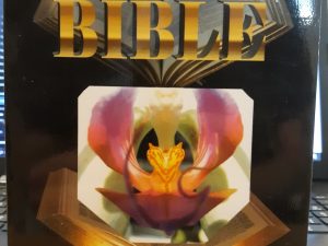 Which Bible Is God’s Word? (2007) ~ by Gail Riplinger