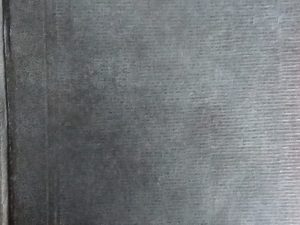 1920 – The Book of Mormon – The Church of Jesus Christ of Latter-Day Saints