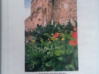 Israel Revealed (VHS Tape and Spiral Bound) - Daniel D. Rona