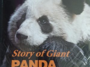 2015 – Story of Giant Panda – Tan Kai