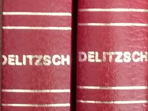 1978 – Limited Classical Reprint Library (2 Vol Set) A Commentary on Genesis – Franz Delitzsch