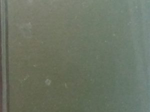 1885 – Bricks From Babel: A Brief View of the Myths, Traditions and Religious Belief of Races – Julia McNair Wright