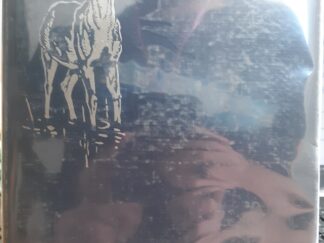 Deer At Night In The North Woods (1930) ~ by Tappan Gregory