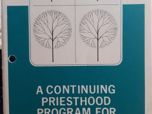 A Continuing Priesthood Program for Family Exaltation (1970)